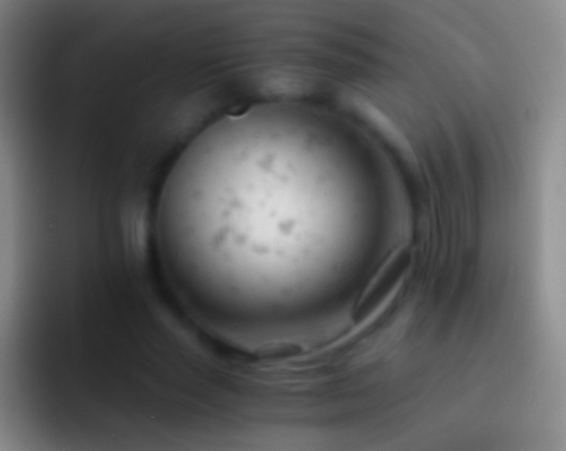 X0000092310637200709211250