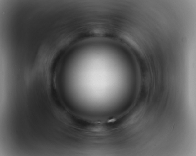 X0000092310639200709211250