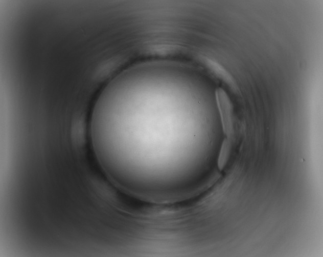 X0000092310640200709211250