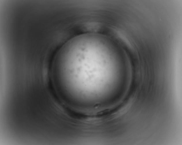 X0000092310641200709211250