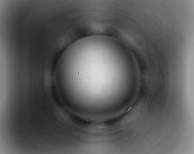 X0000092310642200709211250
