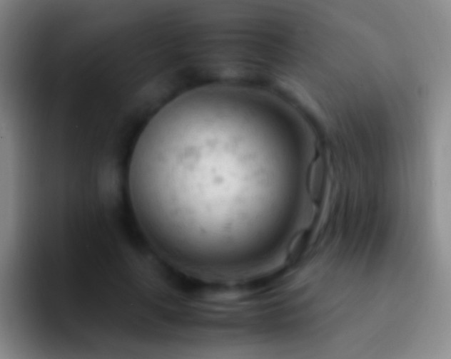 X0000092310643200709211250