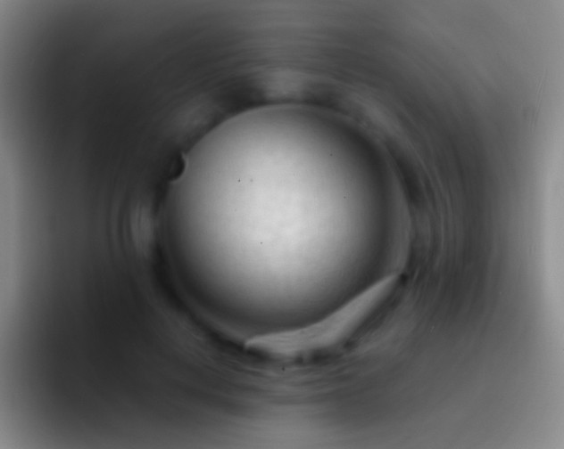 X0000092310648200709211250