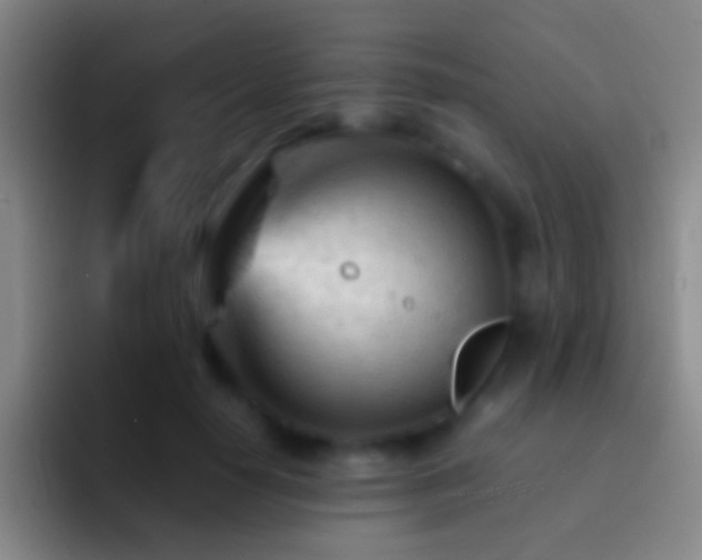 X0000092310650200709211250
