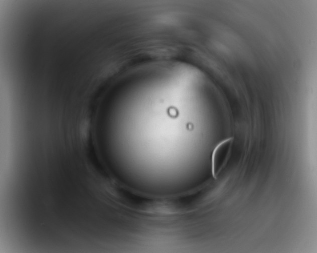 X0000092310652200709211250