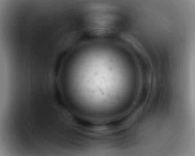 X0000092310653200709211250