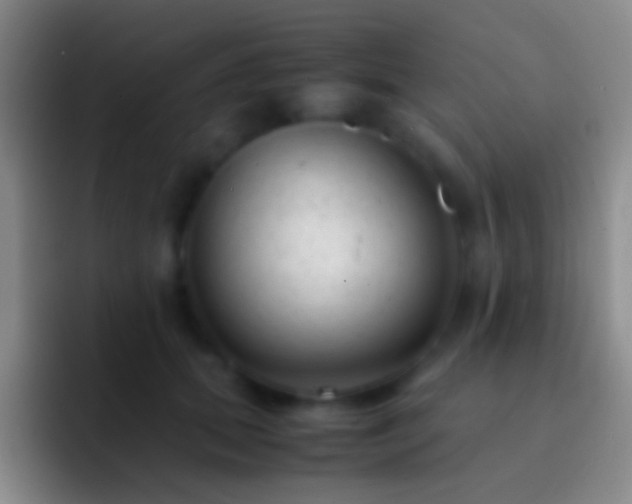 X0000092310655200709211250