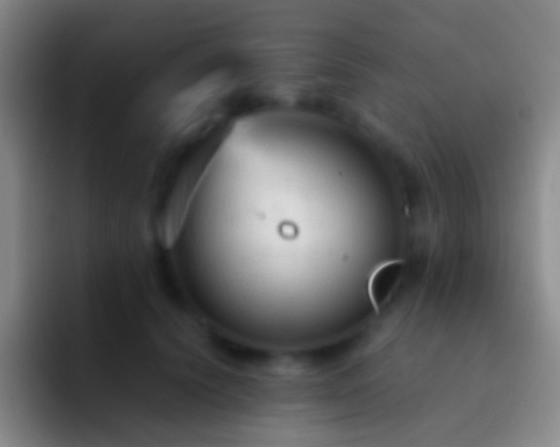 X0000092310656200709211250