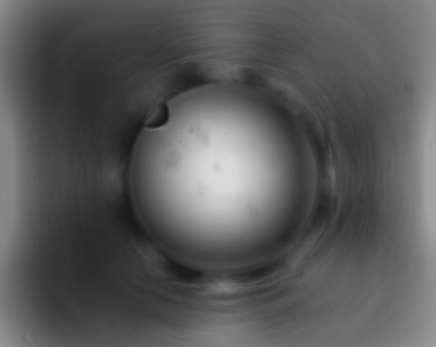 X0000092310658200709211250