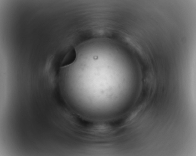 X0000092310659200709211250