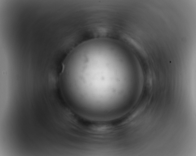 X0000092310661200709211250