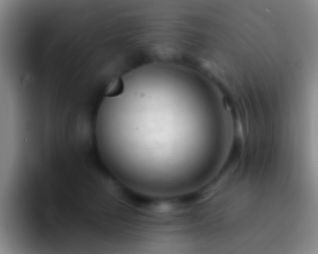 X0000092310662200709211250