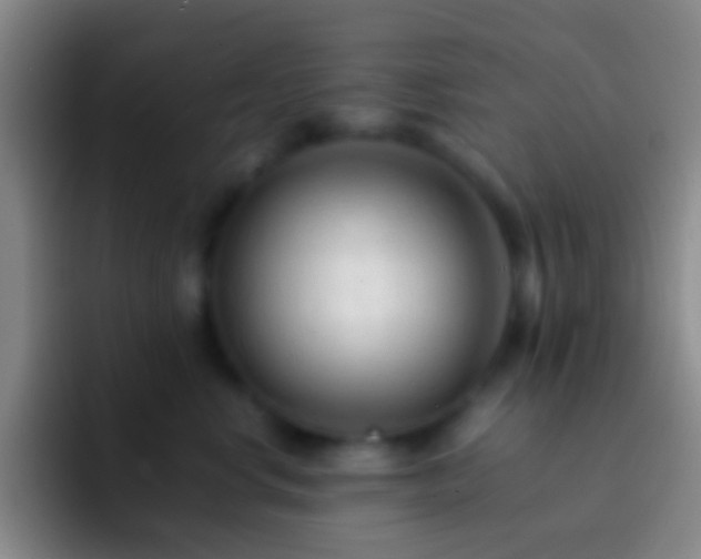 X0000092310668200709211250