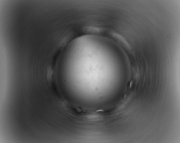 X0000092310669200709211250