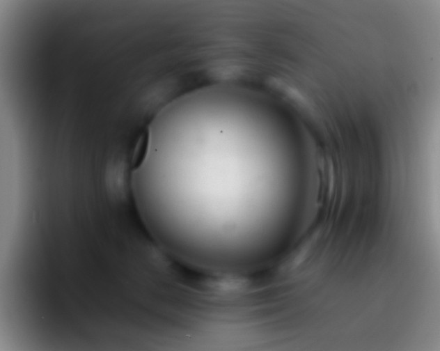 X0000092310670200709211250