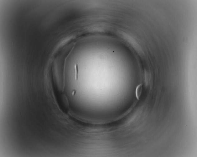 X0000092310675200709211250