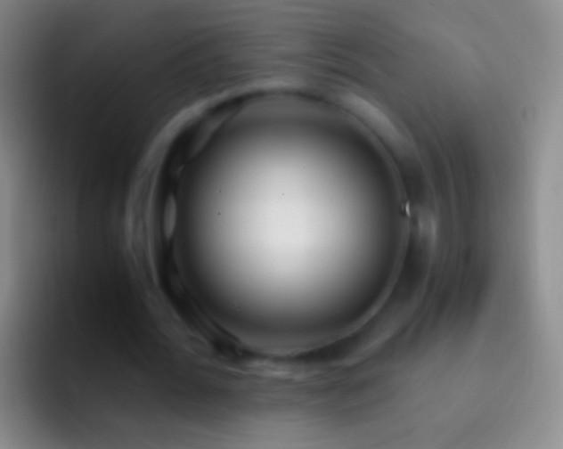 X0000092310676200709211250