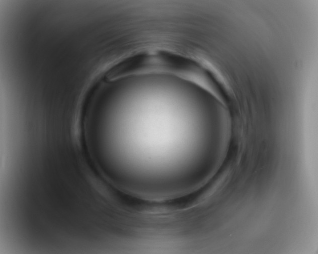 X0000092310677200709211250