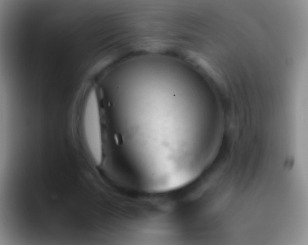 X0000092310679200709211250