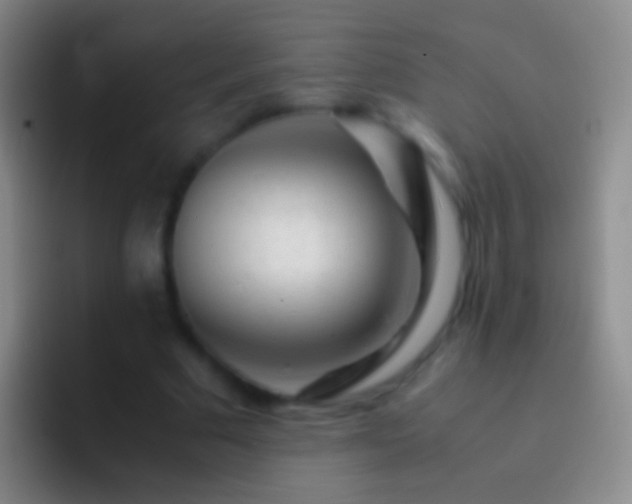 X0000092310681200709211249