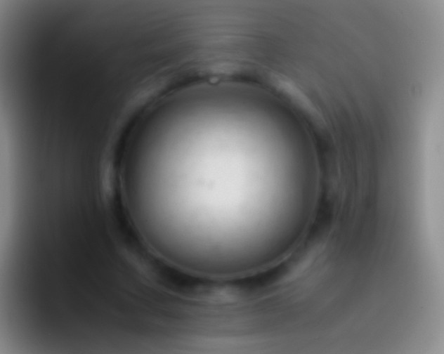 X0000092310683200709211249