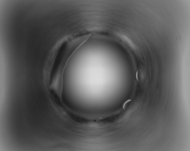 X0000092310684200709211249
