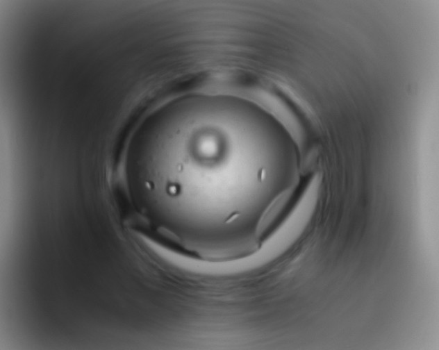 X0000092310685200709211249