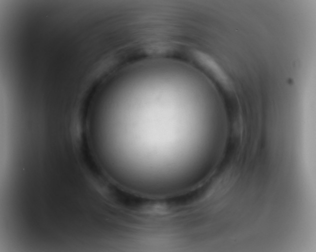 X0000092310687200709211249