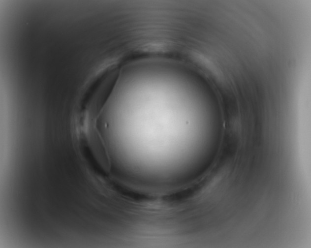 X0000092310688200709211249