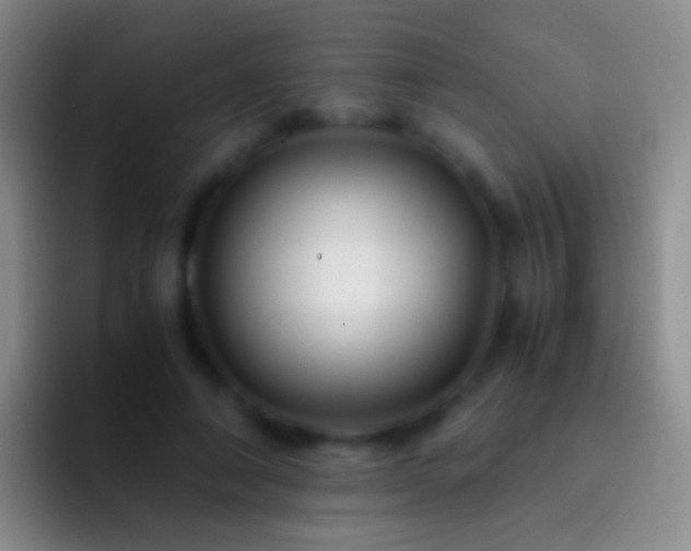 X0000092310690200709211249