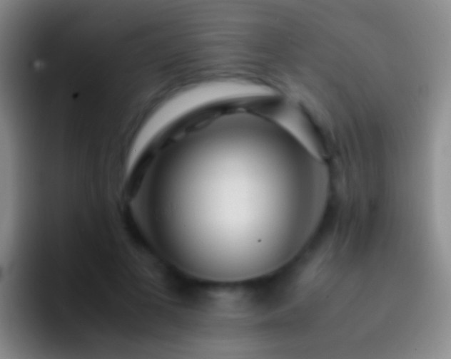 X0000092310693200709211249
