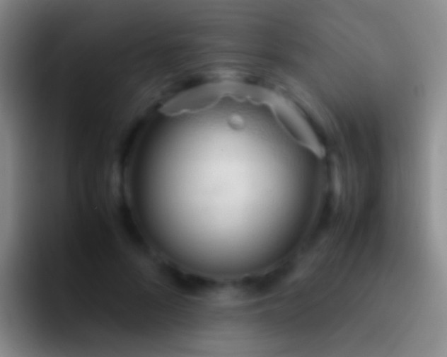 X0000092310696200709211249