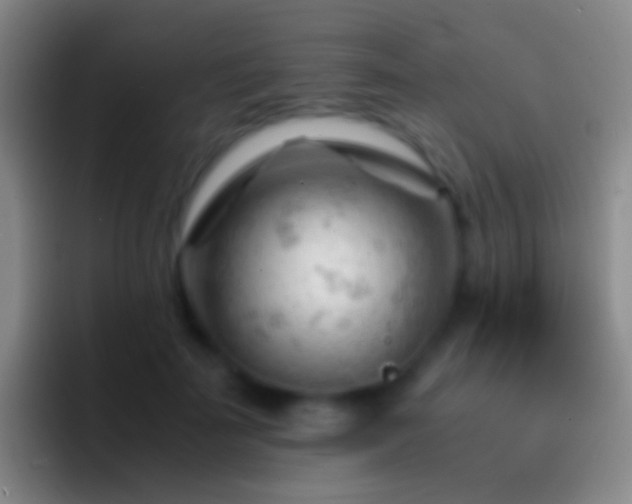 X0000092310699200709211249