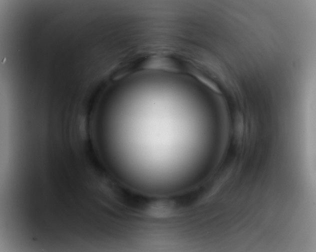 X0000092310700200709211249