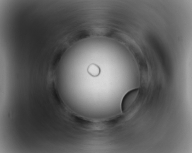 X0000092310701200709211249
