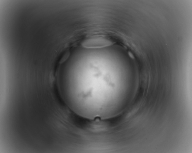 X0000092310707200709211249