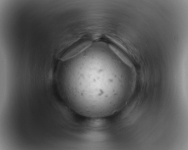 X0000092310711200709211249