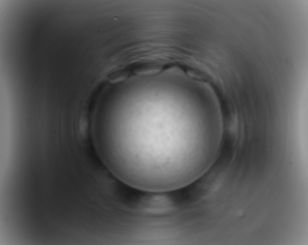 X0000092310715200709211249