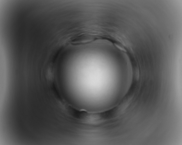 X0000092310719200709211249