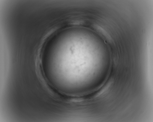 X0000092310721200709211248