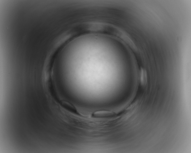 X0000092310723200709211248