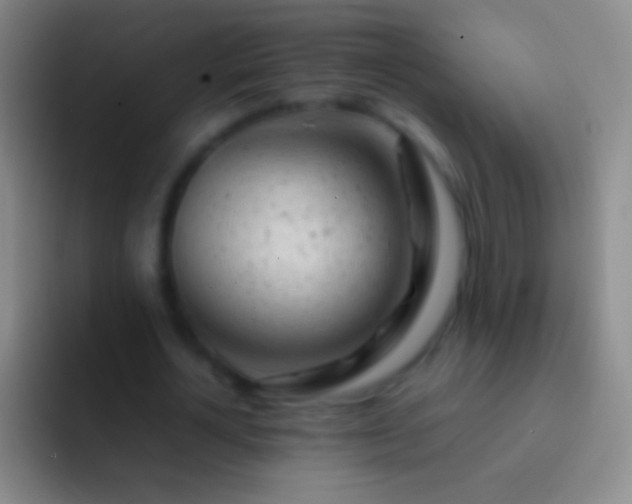 X0000092310724200709211249