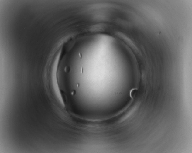 X0000092310725200709211249