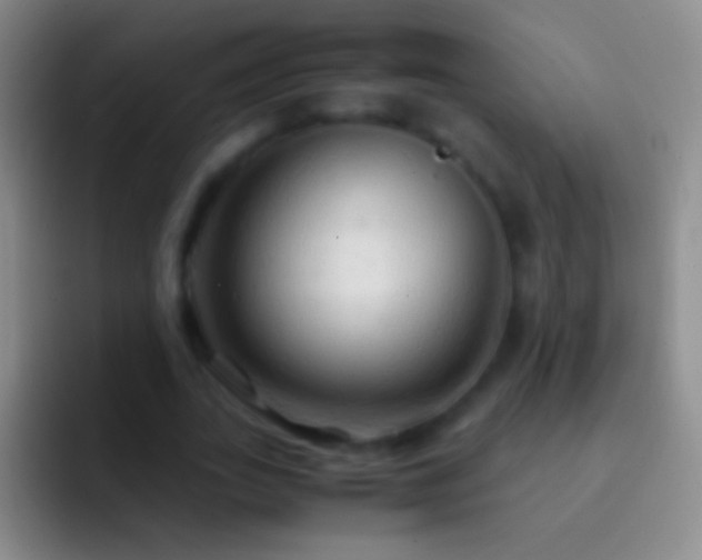 X0000092310727200709211249