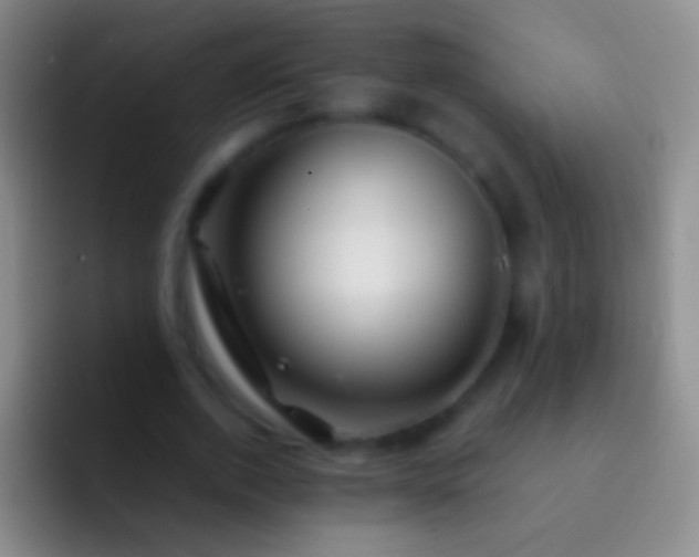 X0000092310728200709211249