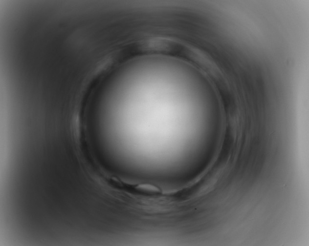X0000092310729200709211249