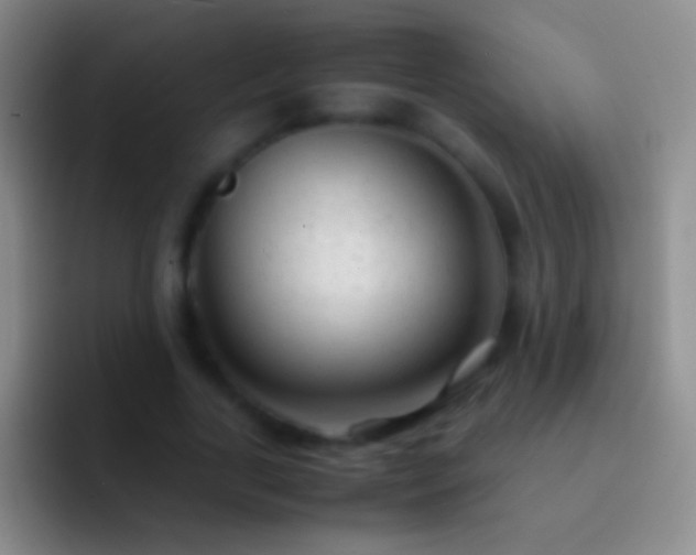 X0000092310731200709211249