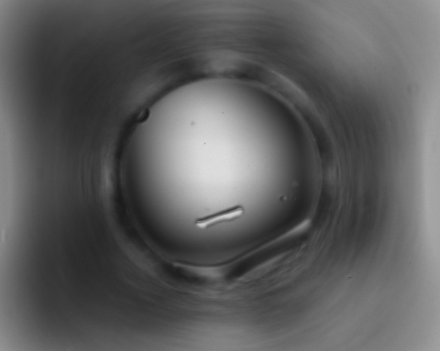 X0000092310732200709211249