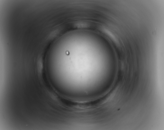 X0000092310733200709211249