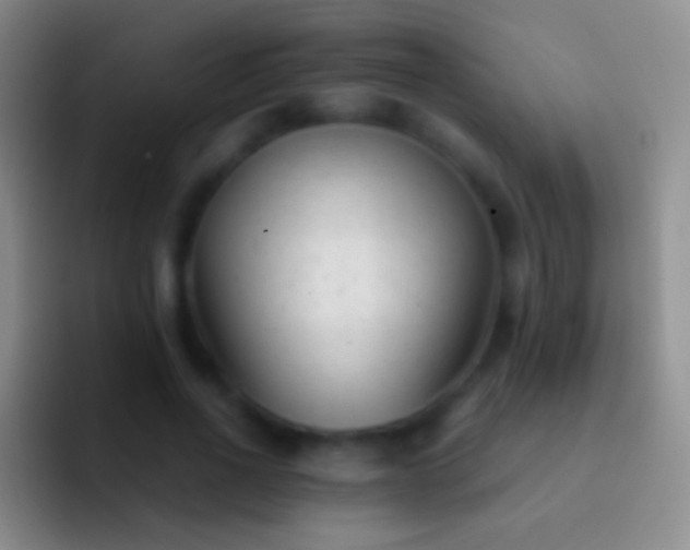 X0000092310734200709211249